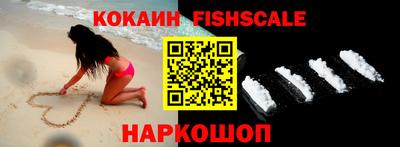 стаф Коммунар