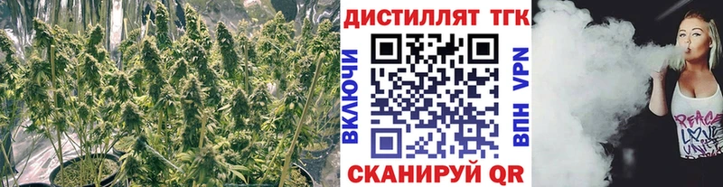 ТГК THC oil  Кузнецк 