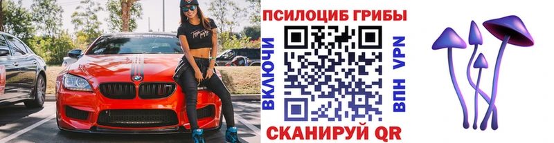 Галлюциногенные грибы MAGIC MUSHROOMS  где продают   Кузнецк 