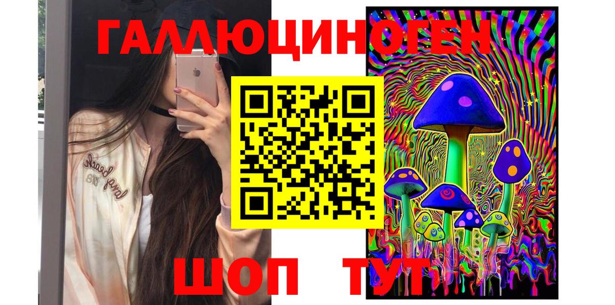 Кузнецк  закладка  Вход с VPN  Псилоцибиновые грибы Magic Shrooms  Псилоцибиновые грибы Magic Shrooms 