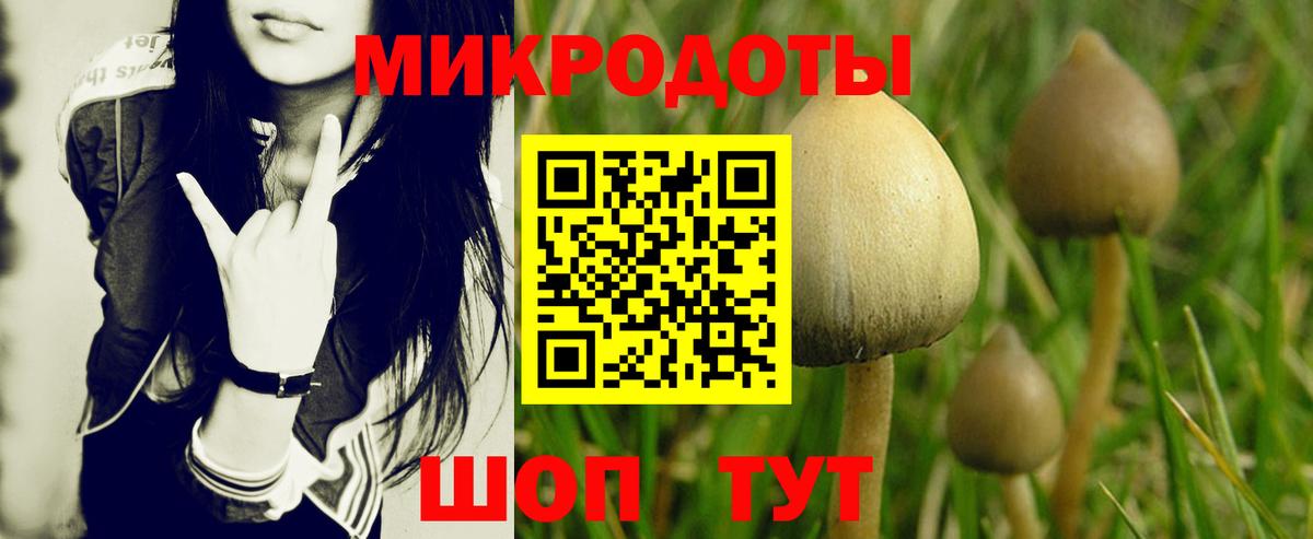 Псилоцибиновые грибы ЛСД Кузнецк