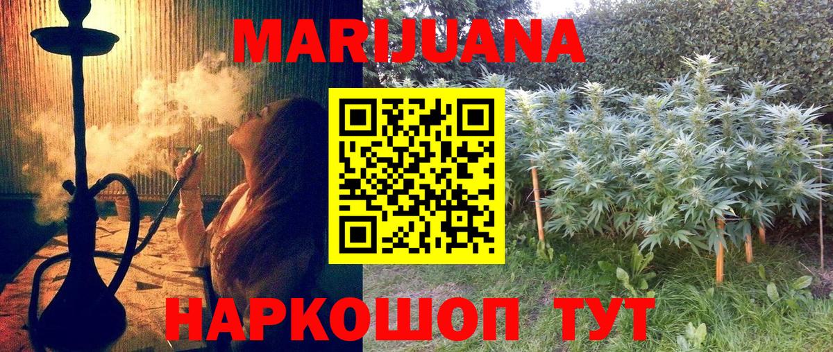 МАРИХУАНА сатива Кузнецк